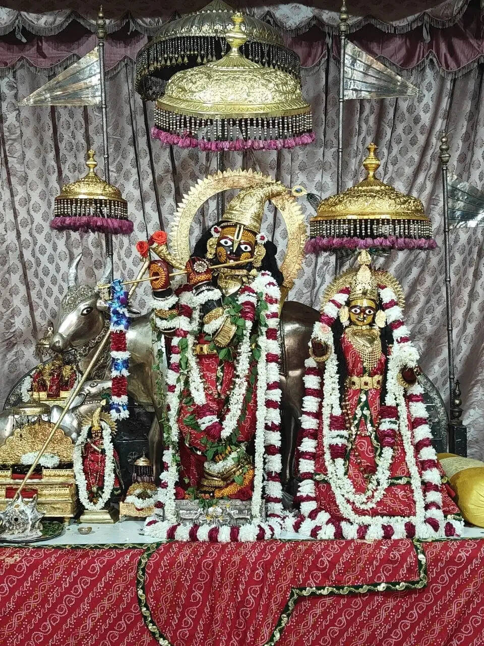 कामिका एकादशी पर मंदिरों में उमड़ी श्रद्धा: महामंत्र यज्ञ से गूंजा गोविंददेवजी मंदिर