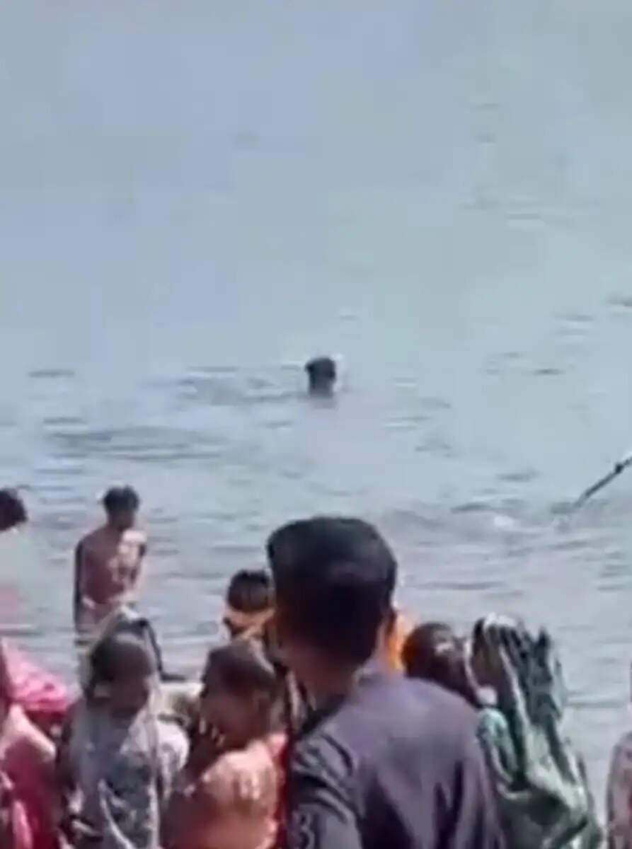 राजगढ़ः तालाब में डूबने से बुजुर्ग की मौत