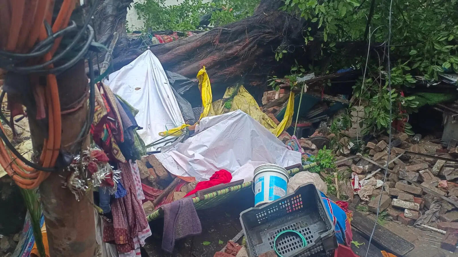 गोरखपुर में मूसलाधार बारिश से जनजीवन अस्त-व्यस्त, जगह-जगह पेड़ गिरे