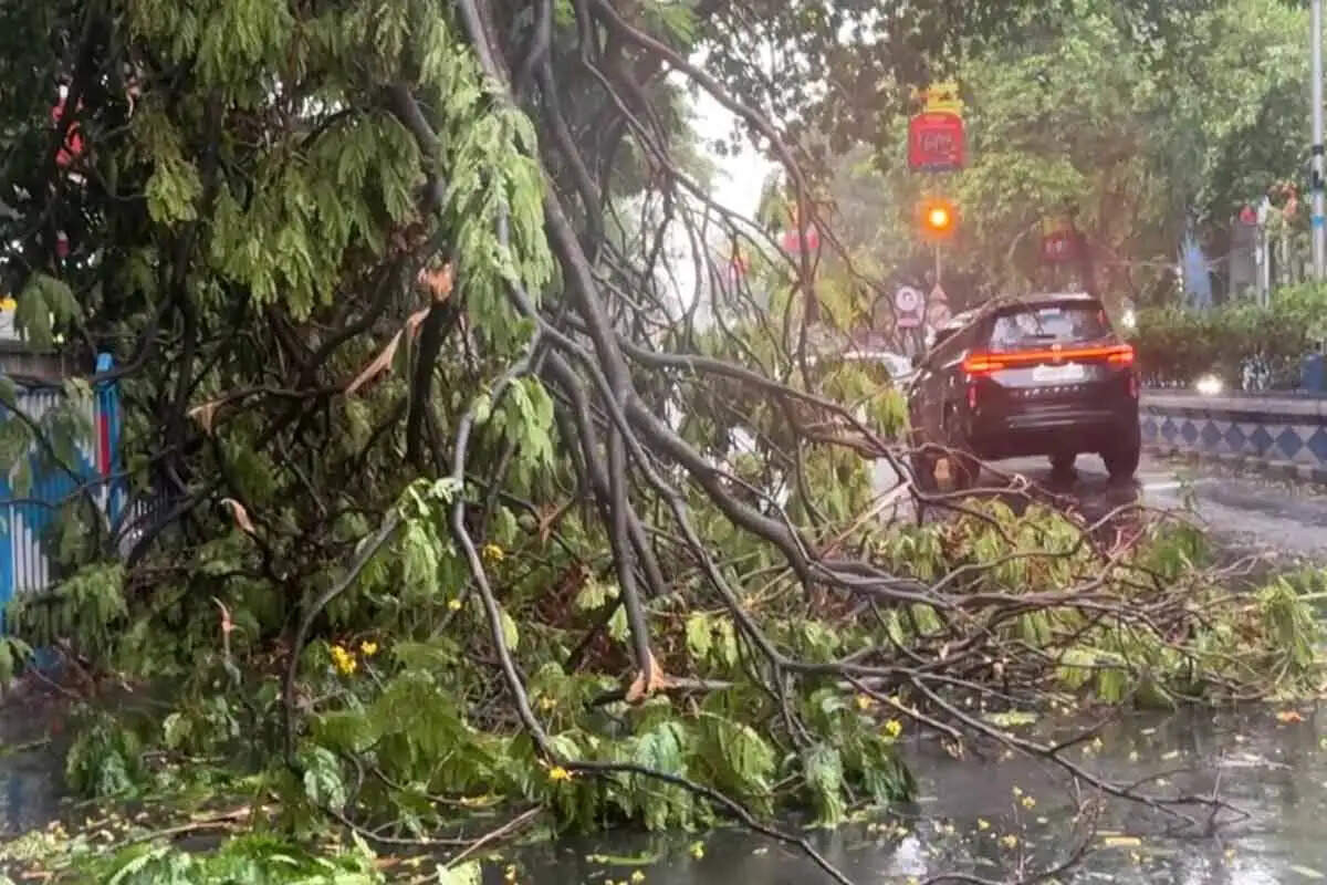 आंधी संग बारिश के कारण उड़ा मेट्रो स्टेशन का शेड, मध्यमग्राम में ट्रेन सेवा बाधित