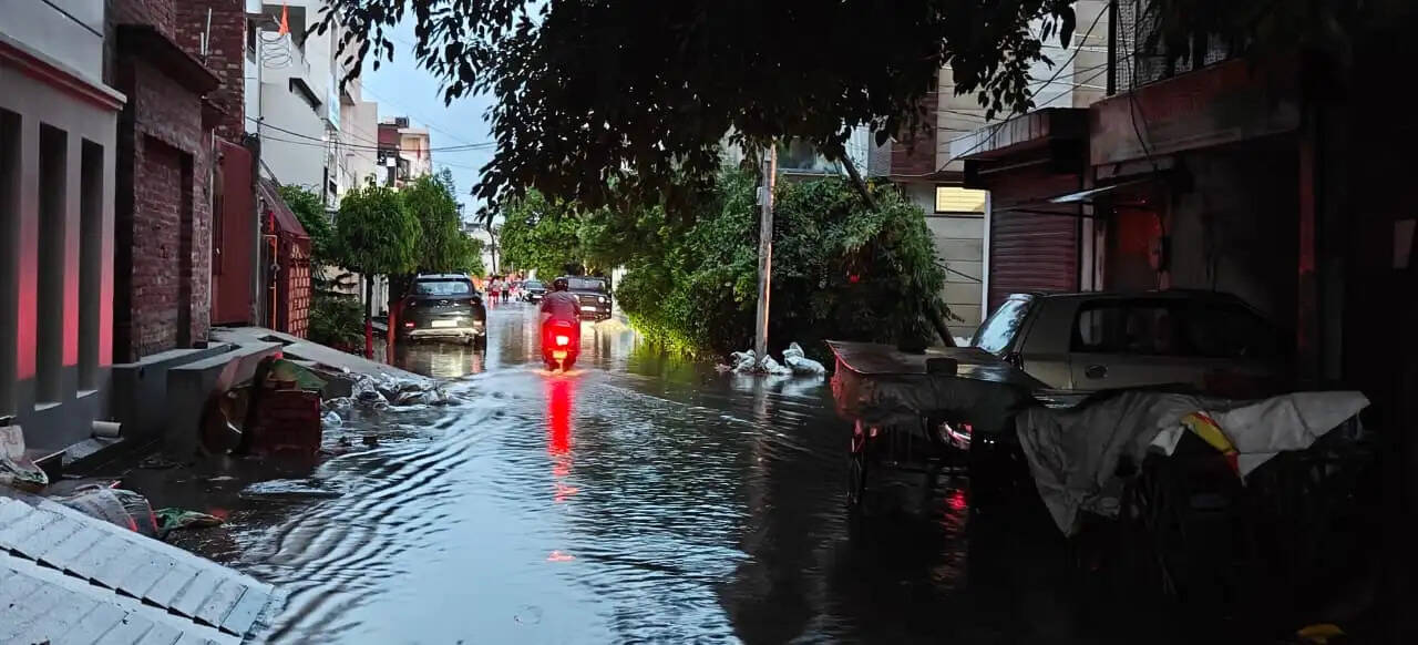 मुरादाबाद में तेज हवा के साथ बारिश से लोगों को मिली गर्मी से राहत