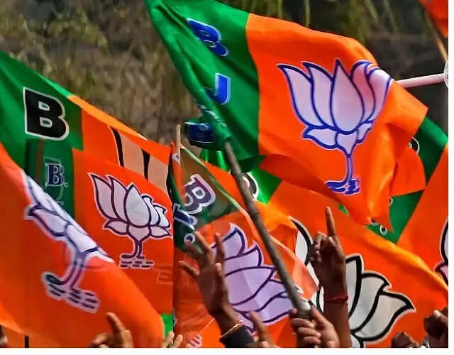 दार्जिलिंग : पहाड़ की तीन सीटों पर भाजपा ने घोषित किए उम्मीदवार