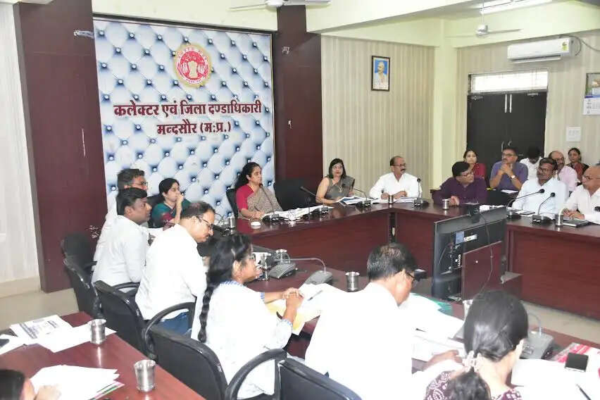 गर्भवती महिलाओं की प्रत्येक 3 माह में चिकित्सा अधिकारी से ही जांच करवाई जाएं - कलेक्टर