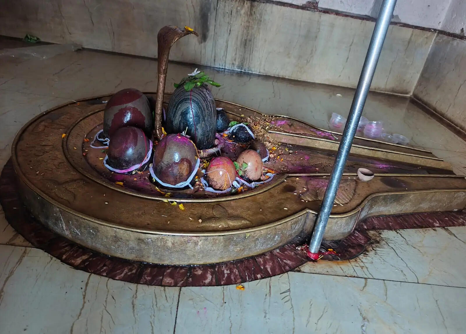 (श्रावण विशेष) अनूपपुर: मां नर्मदा उद्गम मंदिर परिसर के 11 रुद्र महादेव-शिव और मां रेवा की दिव्य आराधना का पावन धाम