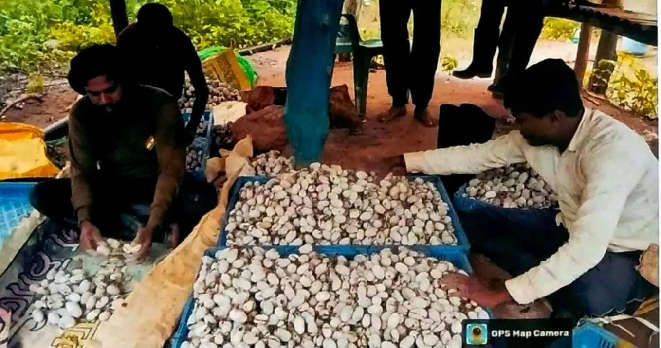 कोसा पालन ने बदली वनांचल के ग्रामीणों की तकदीर
