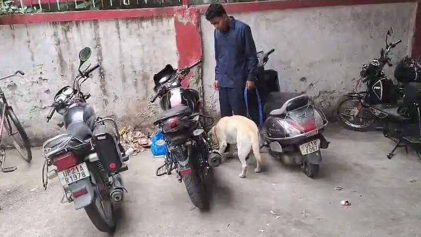 बम से उड़ाने की धमकी की मेल मिलने के बाद प्रधान डाकघर में चला सघन चेकिंग अभियान