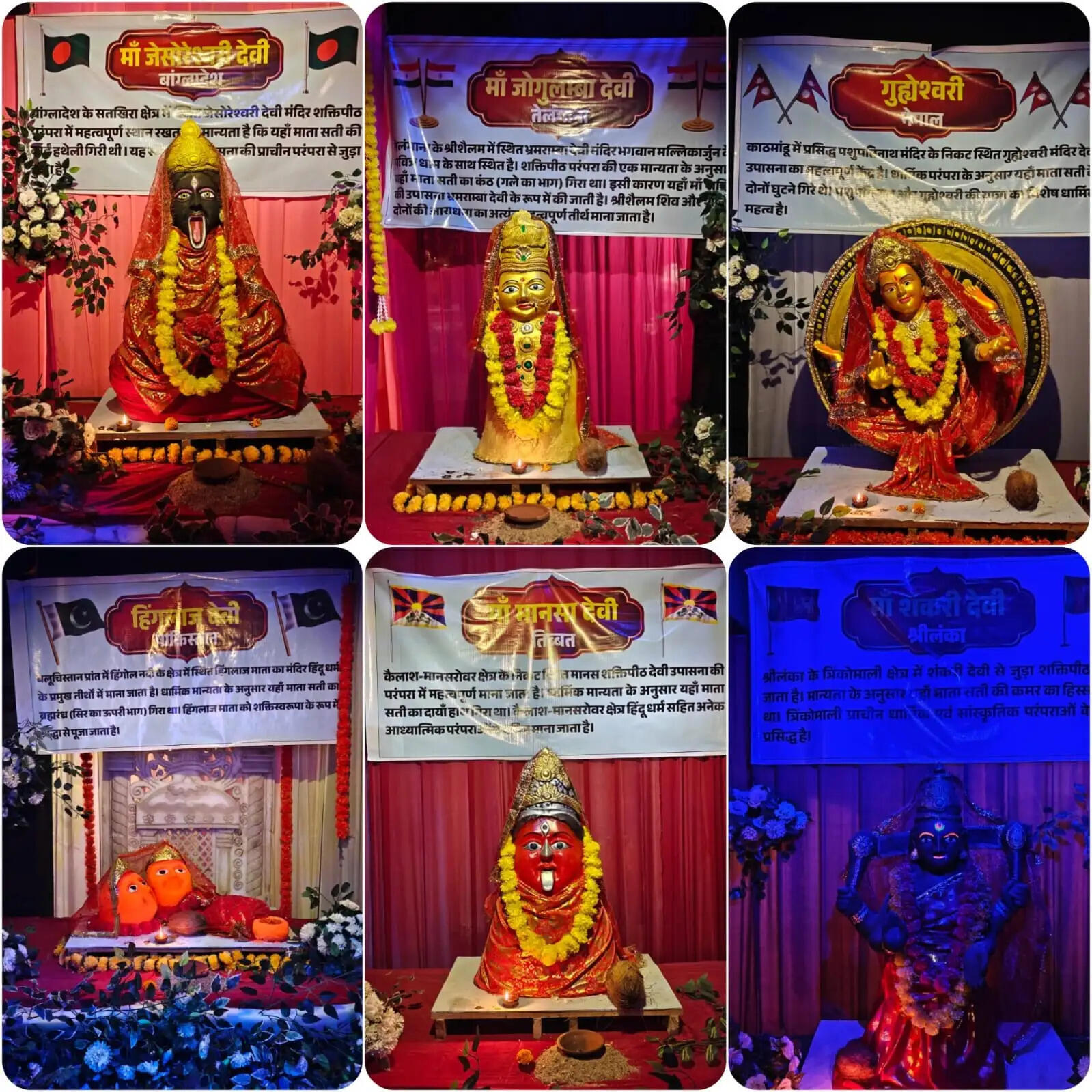 धमतरी में अनोखा शक्तिपीठ पंडाल, एक ही जगह श्रीलंका से पाकिस्तान तक की देवियों के दर्शन