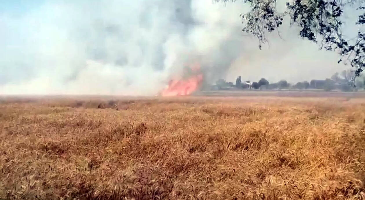 हांसी : जमावड़ी गांव में गेहूं के खेत में लगी आग, 9 एकड़ में खड़ी गेहूं जलकर हुई राख