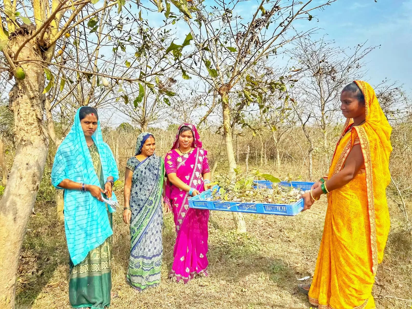 रेशम विभाग एवं महात्मा गांधी नरेगा के समन्वित प्रयासों से अर्जुन पौधरोपण एवं जल संरक्षण कार्यों ने दिलाई नई दिशा