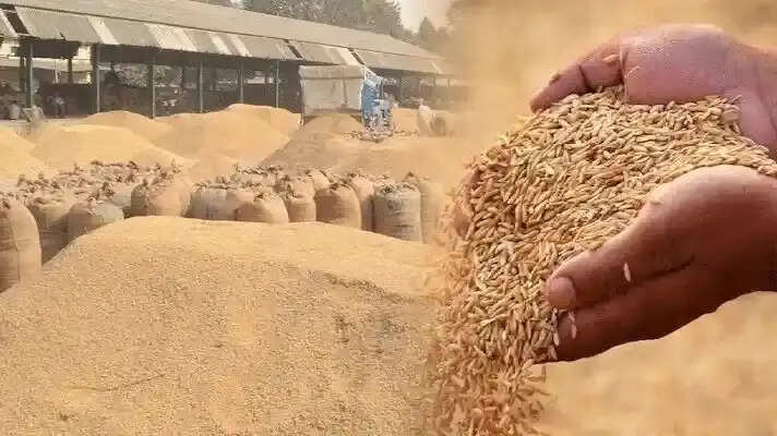 मप्र: समर्थन मूल्य पर धान, ज्वार एवं बाजरा उपार्जन के लिये 13 हजार से अधिक किसानों ने कराया पंजीयन