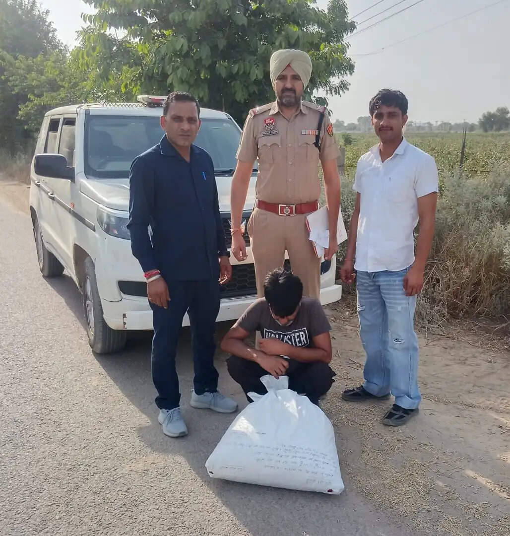 सिरसा: आठ नशा तस्कर गिरफ्तार, चूरापोस्त व हेरोइन बरामद