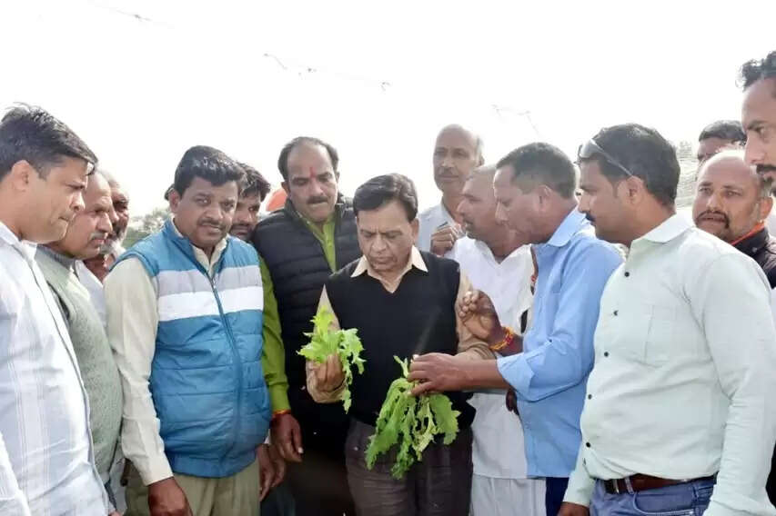 उप मुख्यमंत्री देवड़ा ने ओलावृष्टि प्रभावित फसलों का निरीक्षण कर किसानों से किया संवाद