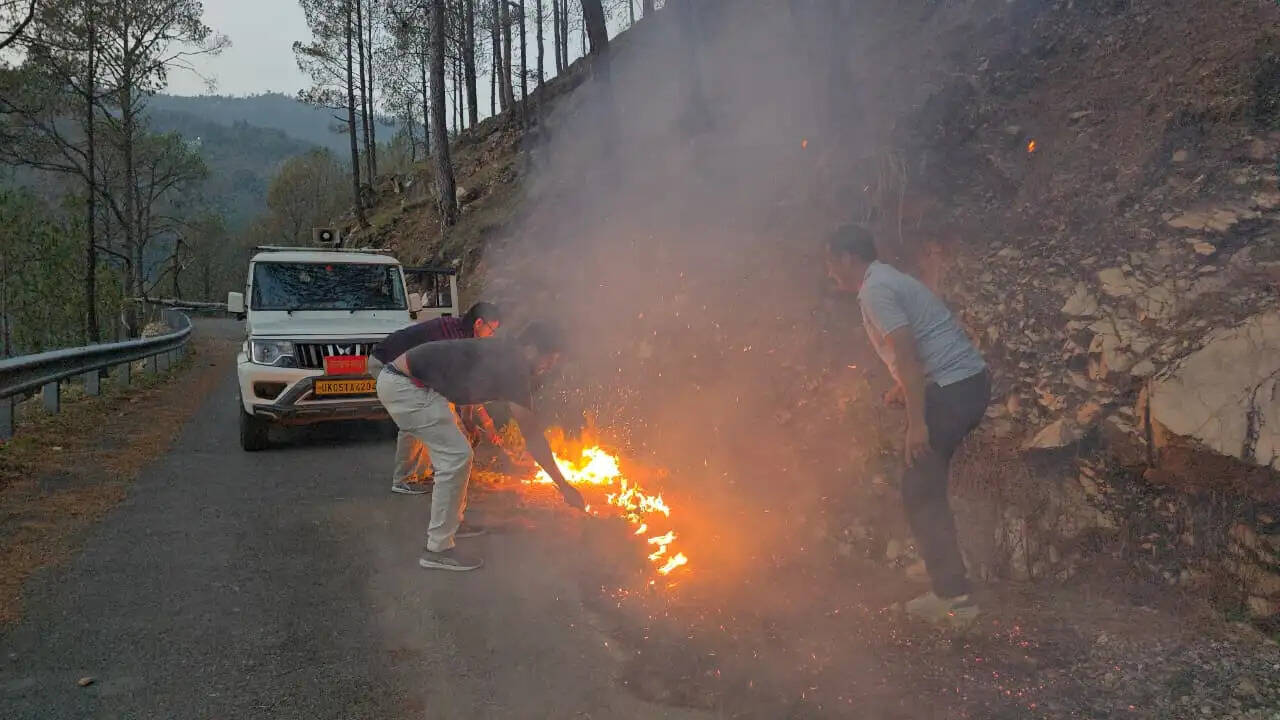 सूचना विभाग के कार्मिकों ने बुझाई गंगोलीहाट के जंगल में आग
