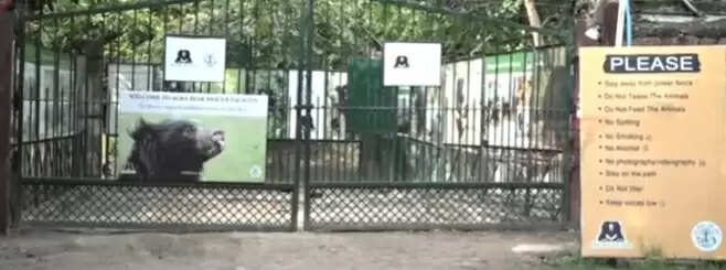 आगरा -भालूओं कों ठिठुरन से बचाने की कवायद शुरू