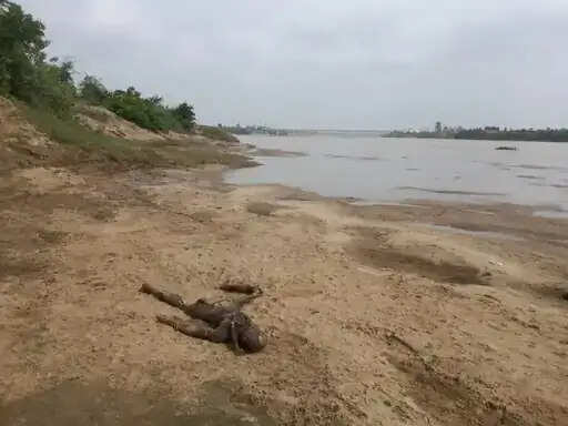 शहडोल: सोन नदी किनारे मिला महिला का 10 दिन पुराना कंकाल, चूड़ियों के आधार पर पहचान की कोशिश कर रही पुलिस