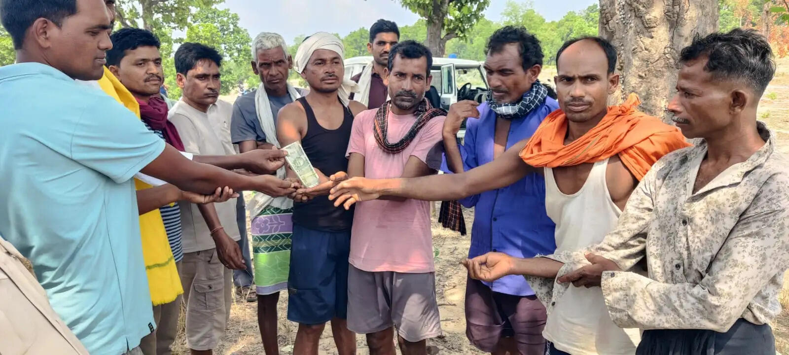 कोरबा जिले में लोनर हाथी का हमला, 70 वर्षीय महिला की मौत