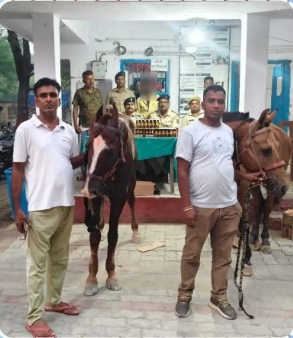 दो घोड़ों पर लदी विदेशी शराब के साथ एक धंधेबाज गिरफ्तार