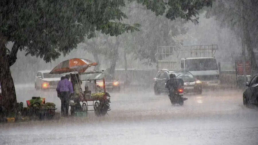 झारखंड के केवल सात जिलों में सामान्य बारिश, छह जिलों में 40 से 60 प्रतिशत तक वर्षा की कमी