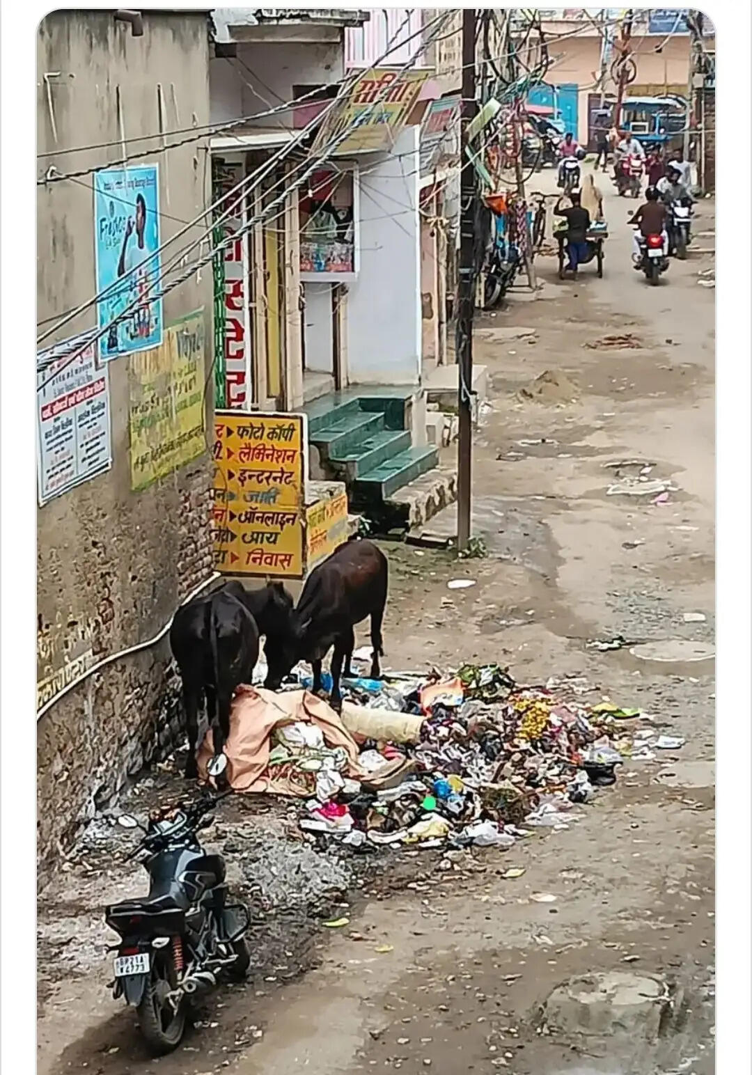 नगर निगम ने चार घंटे में किया 99 शिकायतों का समाधान