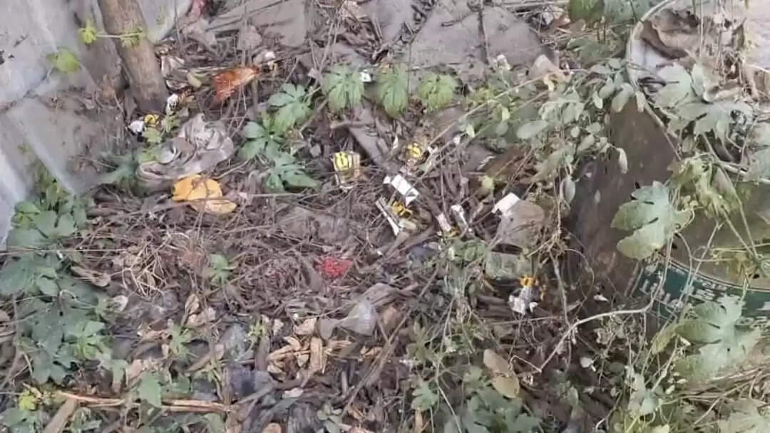 *बगहा मद्य निषेध उत्पाद थाना के पास देशी-विदेशी शराब की असंख्य रेपर औऱ पाउच का ढ़ेर मिला*