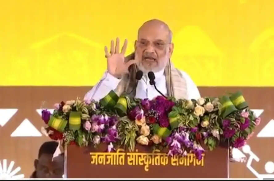 जनजातीय समाज को यूसीसी से डरने की जरूरत नहीं : अमित शाह