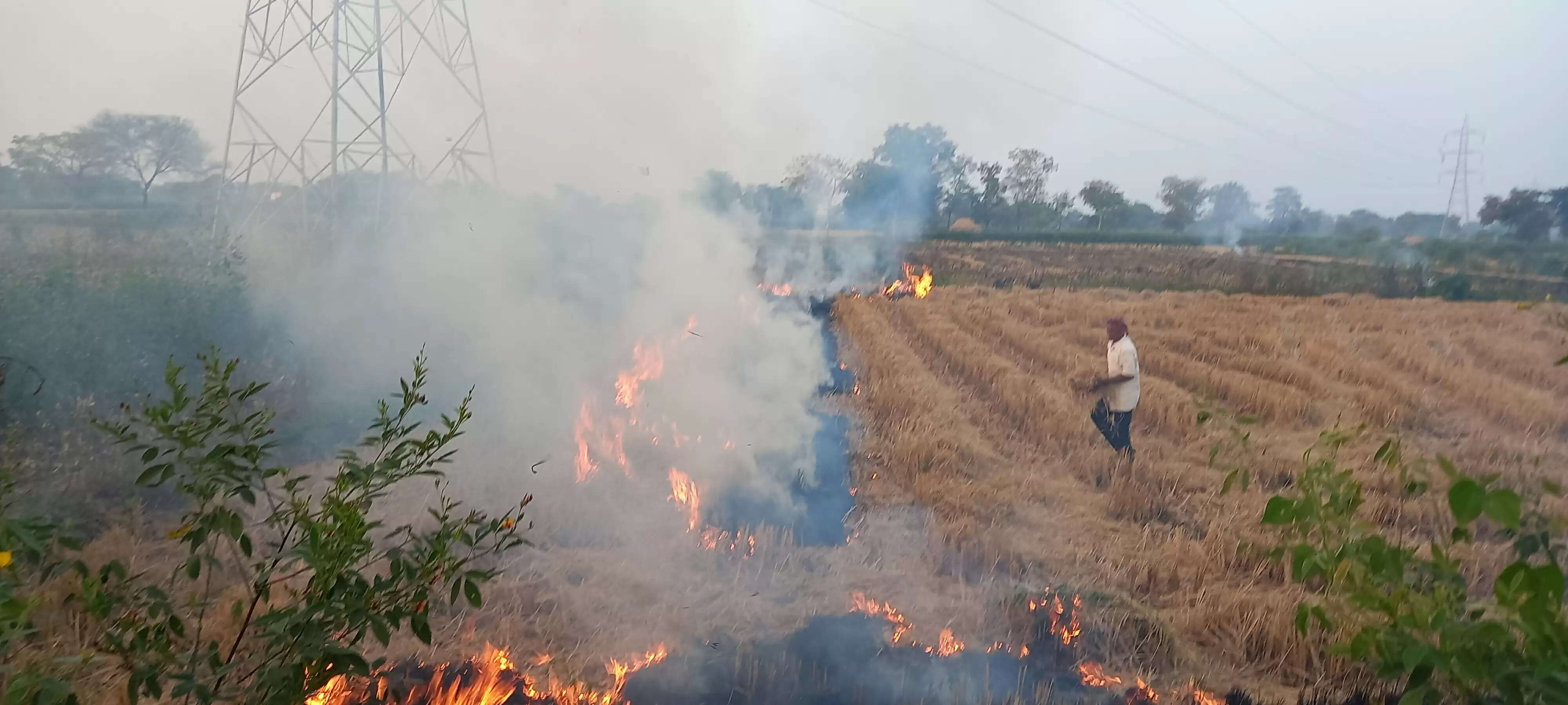 खेतों में पराली जलाना पड़ेगा भारी, अब 15 हजार तक जुर्माना