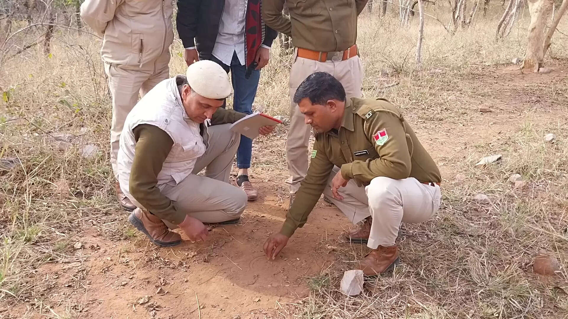 वन्य जीव गणना एक मई को, पहली बार युवतियों और महिलाओं को शामिल करेगा वन विभाग, देंगे प्रशिक्षण