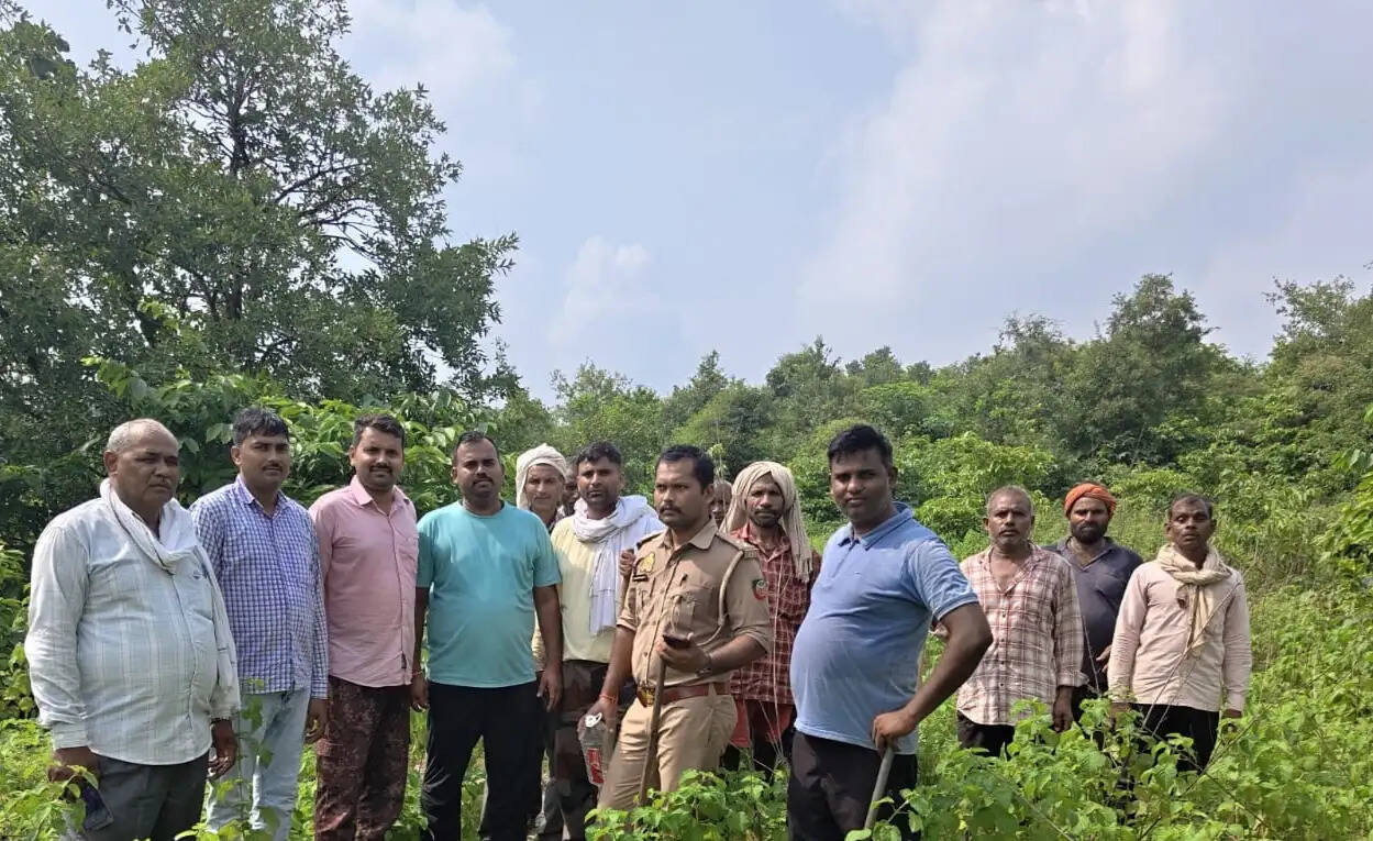 मीरजापुर : आबादी क्षेत्र से सटे जंगल में हाथियों का जोड़ा, दहशत में ग्रामीण, वन विभाग अलर्ट