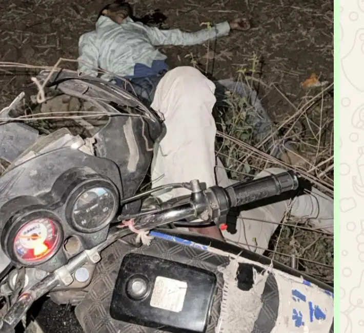 राजगढ़ः बाइक पेड़ से टकराई, दो रिश्तेदारों की मौत