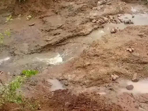 अनूपपुर में हाथियों ने तोड़ा 50 साल पुराना बांध, तेज बहाव में खेतों की मेढ़ें बहीं