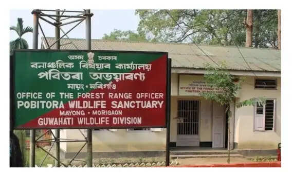 पर्यटकों के लिए खुला पबितरा अभयारण्य, वन मंत्री ने किया उद्घाटन