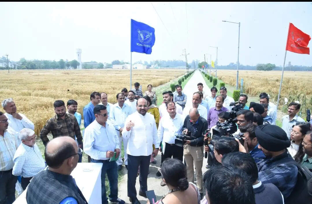 जलवायु-प्रतिरोधी और पोषक तत्वों से भरपूर फसल किस्मों के विकास पर केंद्रित है आईसीएआरः डॉ एम एल जाट
