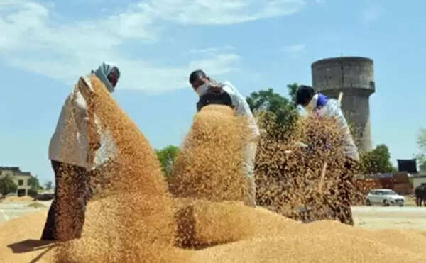 मध्य प्रदेश में अब तक एक लाख 45 हजार 71 किसानों से हुई 63 लाख 27 हजार 410 क्विंटल गेहूं की खरीदी