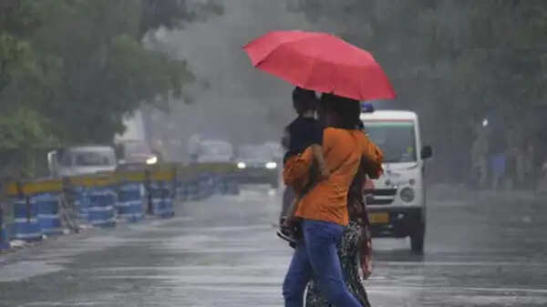 मप्र में भोपाल-इंदौर समेत 35 जिलों में आज बारिश का अलर्ट, 4 दिन तक भारी बारिश के आसार