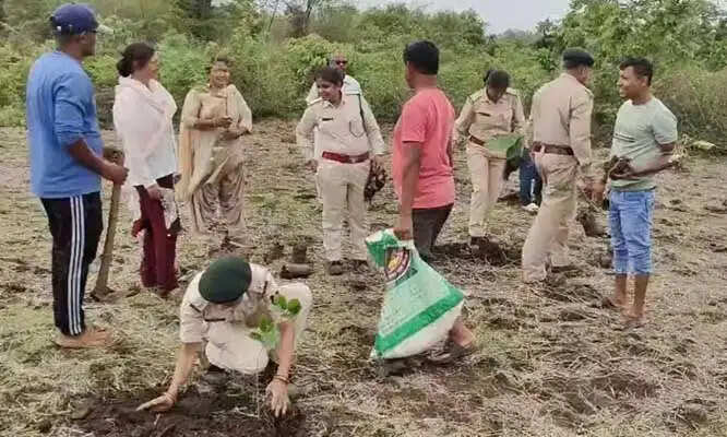 वन भूमि से तीसरी बार अवैध कब्जा हटाकर, किया गया पौधरोपण