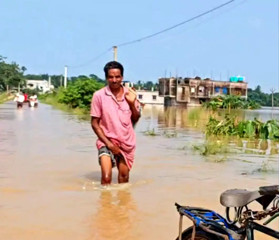 दांतन में सुवर्णरेखा नदी का जलस्तर बढ़ा, कई गांव जलमग्न
