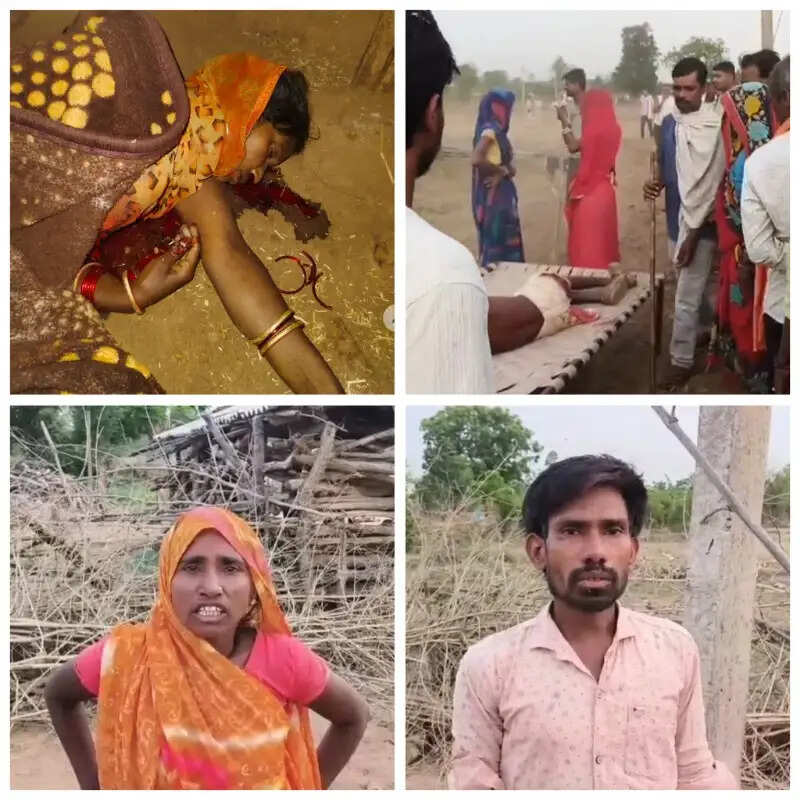 उमरिया: बांधवगढ़ टाइगर रिजर्व में बाघ का हमला, महिला की मौत; ग्रामीणों का फूटा गुस्सा