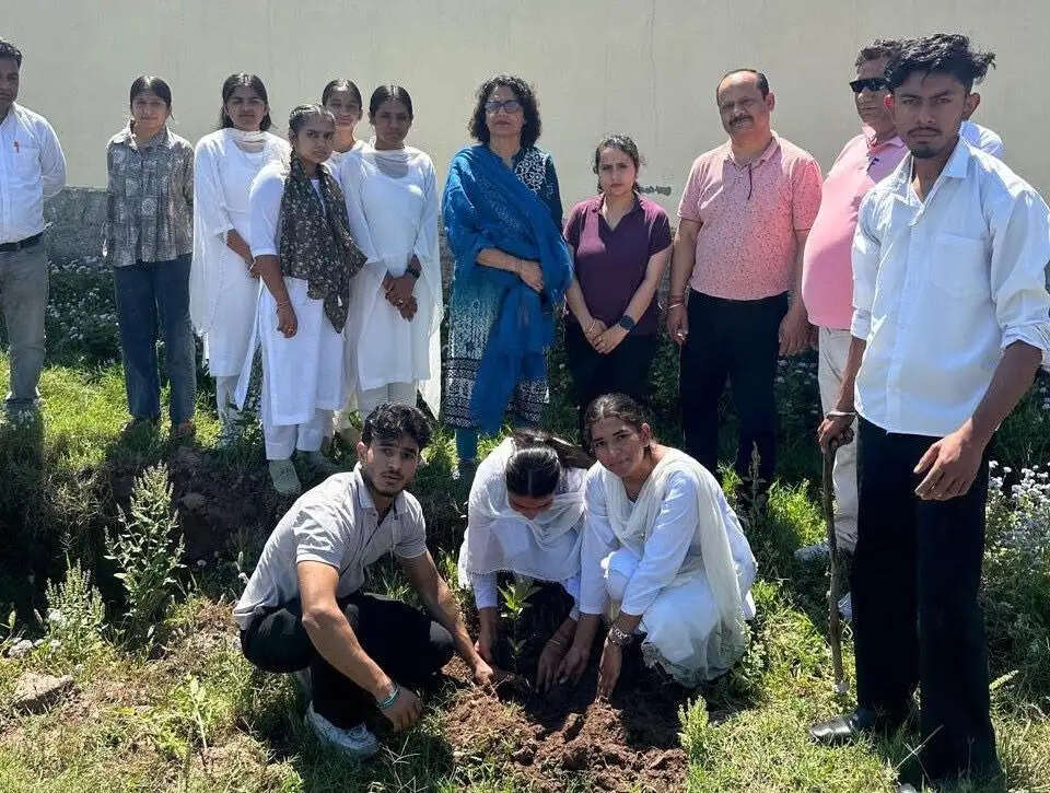 जीडीसी बसोहली में वृक्षारोपण अभियान, 250 से अधिक पौधे लगाए