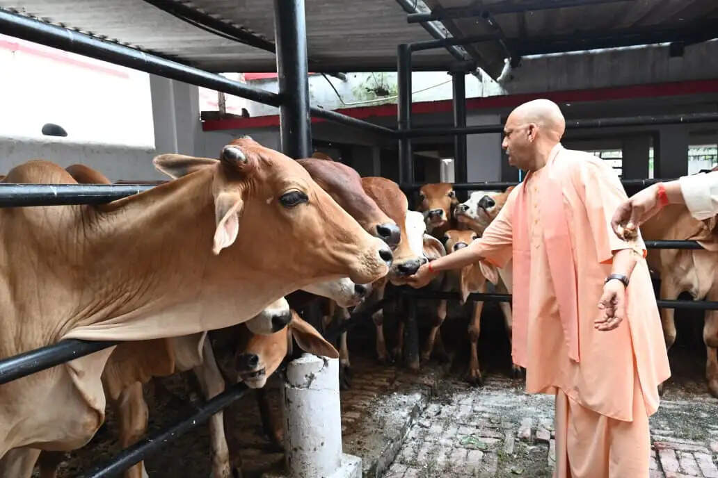 प्रतिकूल मौसम में भी मुख्यमंत्री योगी ने गाेरखपुर में किया जनता दर्शन