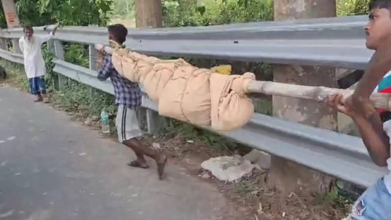 इंसान का कटा हुआ सिर मुंह में लेकर घूम रहा था कुत्ता, शव बरामद कर जांच में जुटी पुलिस