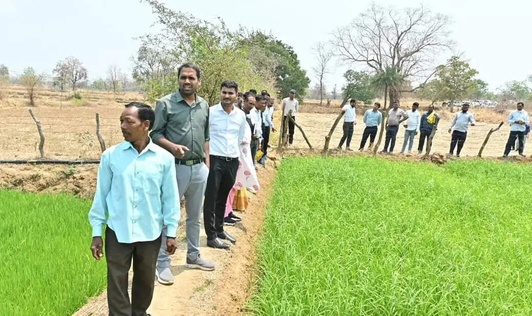 कलारबाहरा में रागी खेती का निरीक्षण, किसानों के नवाचार की सराहना