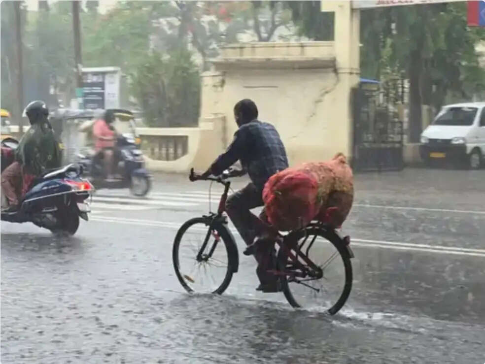 गुजरात में मौसम विभाग की चेतावनी-10 जिलों में ऑरेंज और वलसाड में रेड अलर्ट जारी