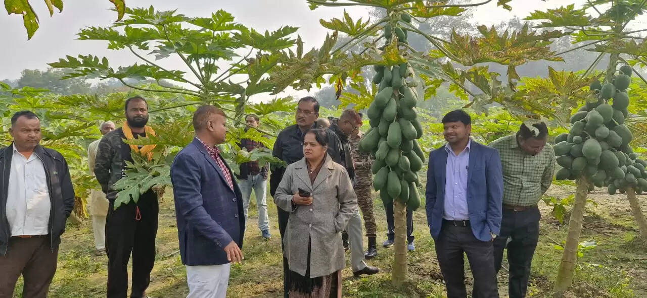 पत्नी साथ खेतों में पहुंचे डीएम , किसानों से लिया फसल और योजनाओं का ग्राउंड रिपोर्ट