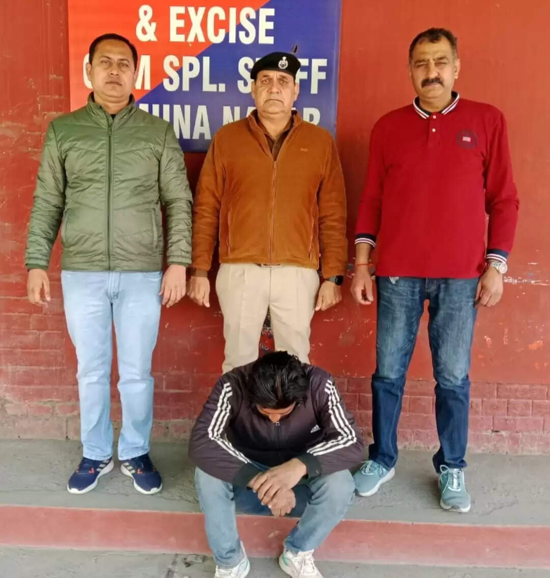 यमुनानगर:मंडी से चोरी लकड़ी की ट्रॉली बरामद,आरोपी को दबोचा