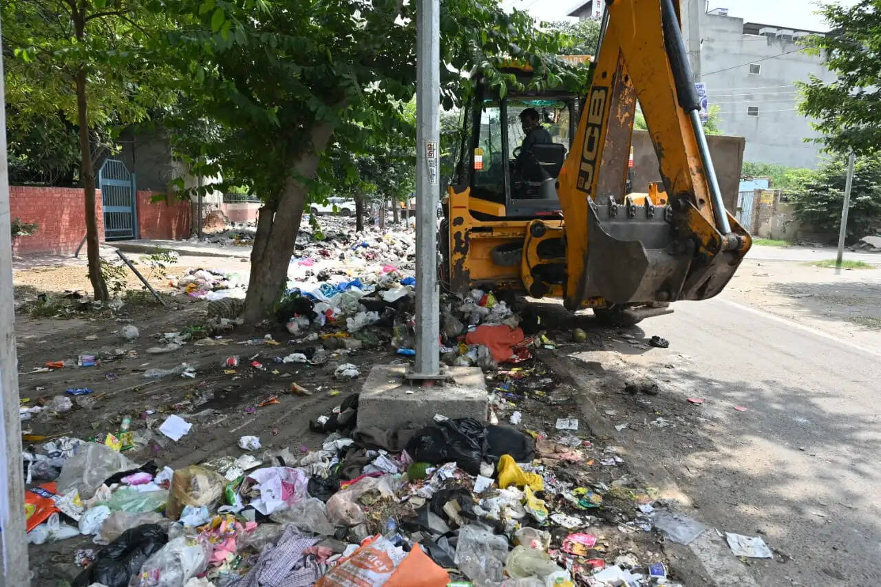 हिसार में कचरा उठाने पहुंची पुलिस टीम हड़ताली महिला कर्मचारियों ने पुलिस पर फेंका कचरा