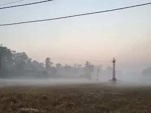 अंबिकापुर : सरगुजा के पाट इलाकों में बढ़ी कड़ाके की ठिठुरन, तापमान 4–5 डिग्री पर पहुंचा