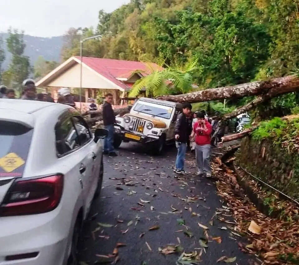 भारी बारिश और तूफान से जनधन को भारी नुकसान, पेड़ गिरने से एक महिला की मौत, चार घायल