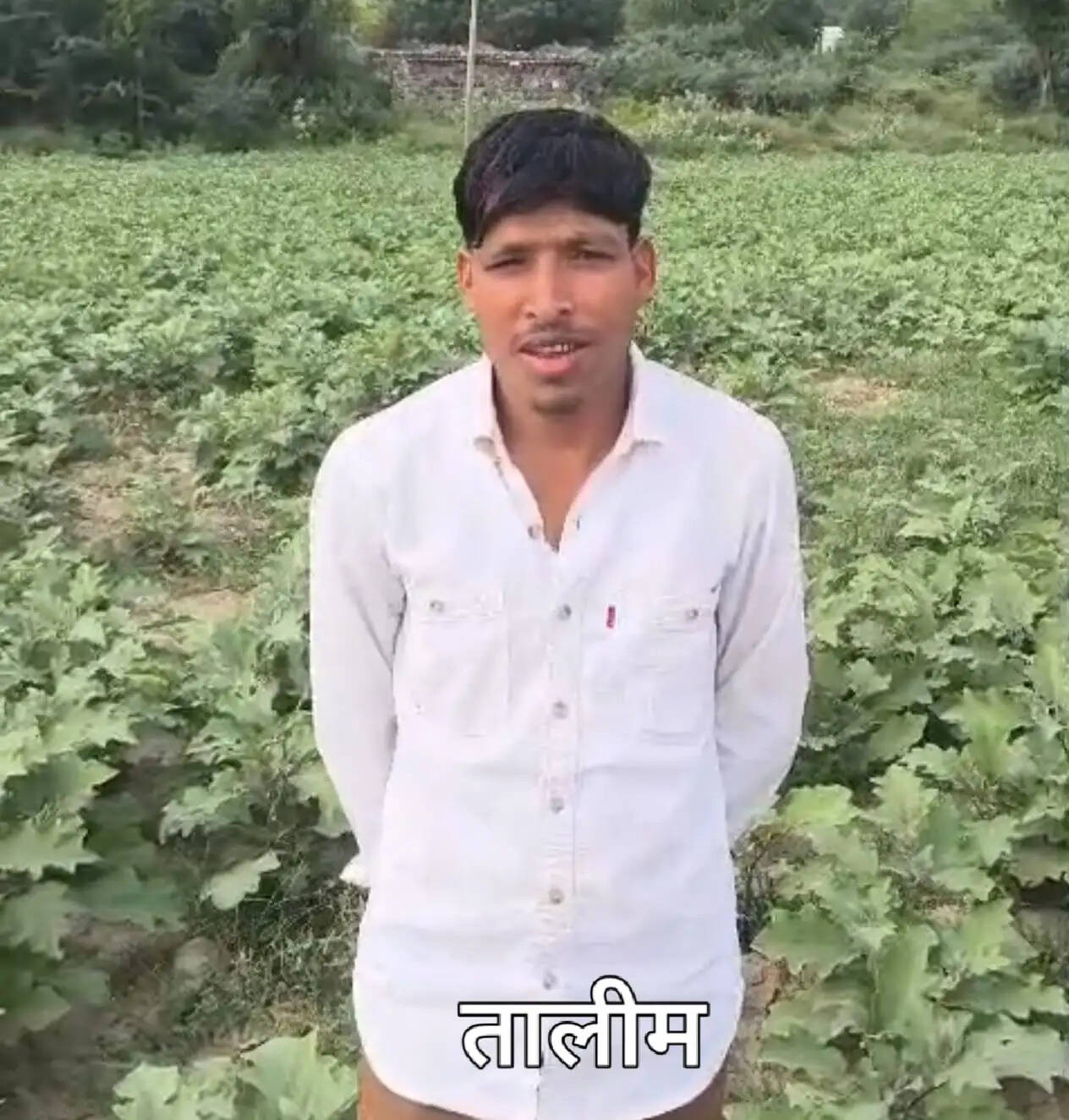 नूंह: किसानों की बागवानी खेती से बढ़ रही आमदनी, टमाटर व बैंगन की खेती से किसान मालामाल