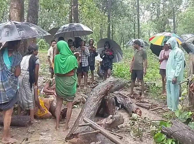 खेत से वापस लाैट रहे एक किसान सूखे पेड़ की चपेट में आने से मौत