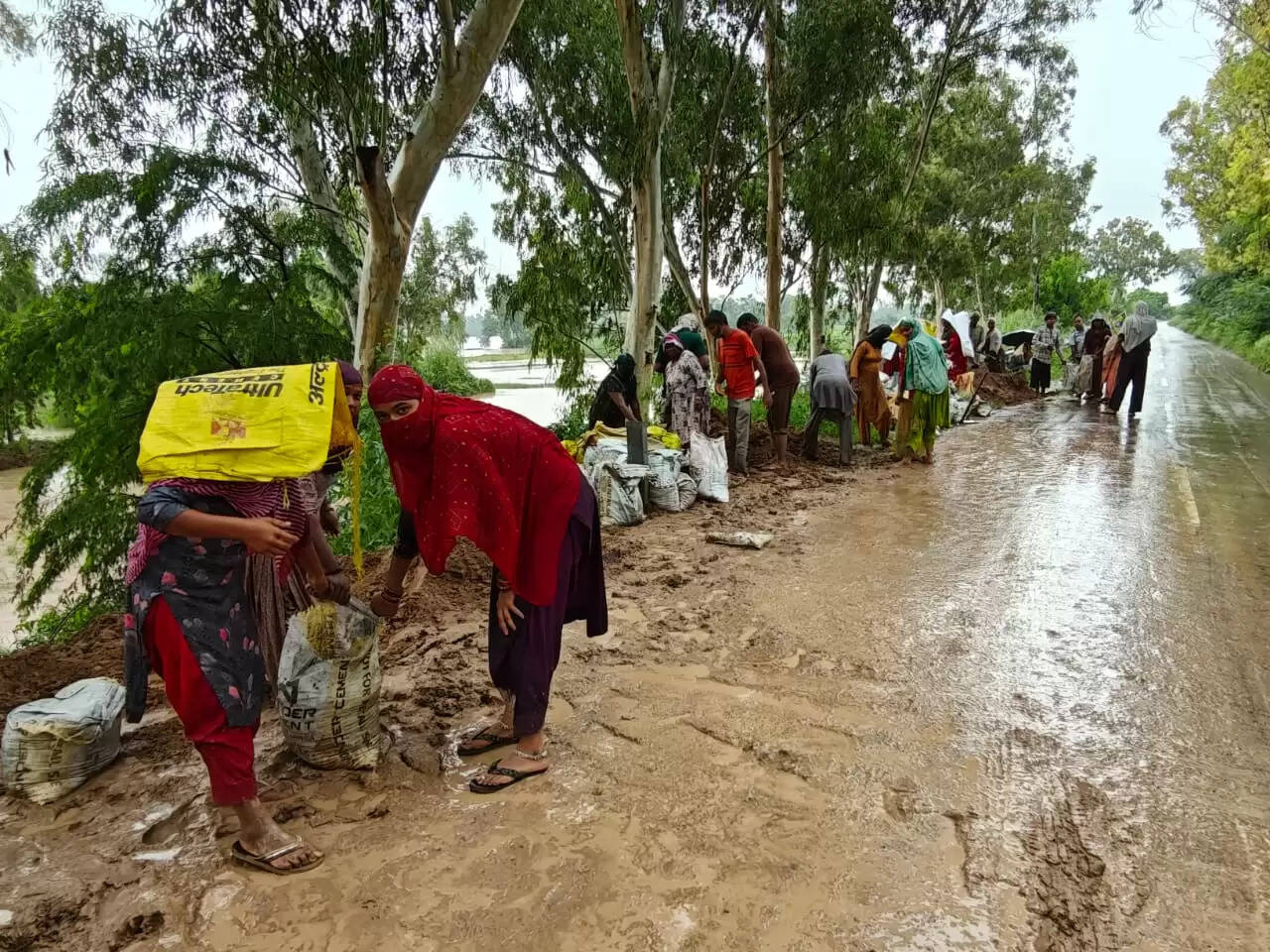 सिरसा: बरसात के चलते जिले के सभी स्कूलों में दो दिन का अवकाश घोषित